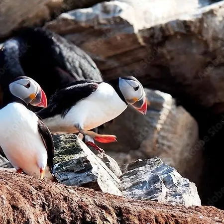 Apartment Rooftop View Vardo
