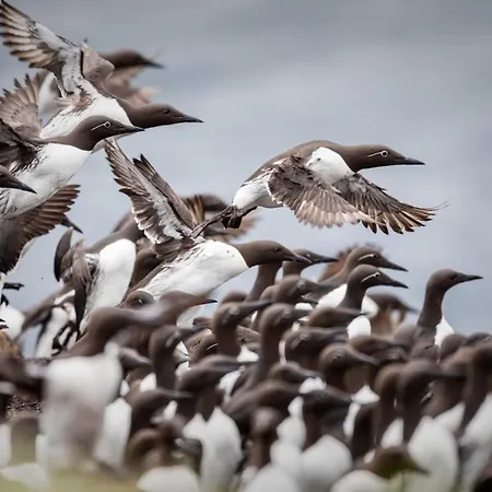 Rooftop View Apartment